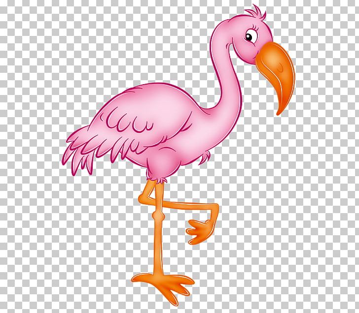 Flamingo PNG, Clipart, Animal Figure, Animals, Animation, Art, Beak Free PNG Download
