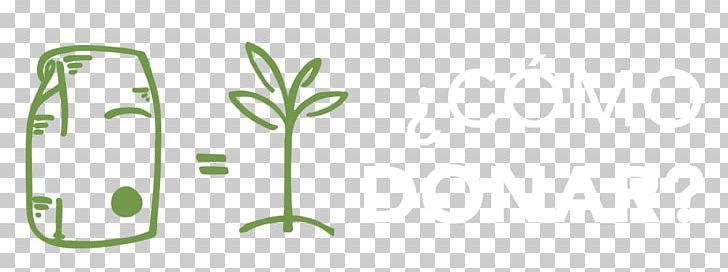 Leaf Plant Stem PNG, Clipart, Flora, Grass, Green, Leaf, Line Free PNG Download