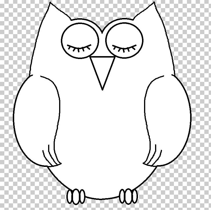 Owl Beak Brazing PNG, Clipart, Angle, Animals, Area, Beak, Bird Free PNG Download