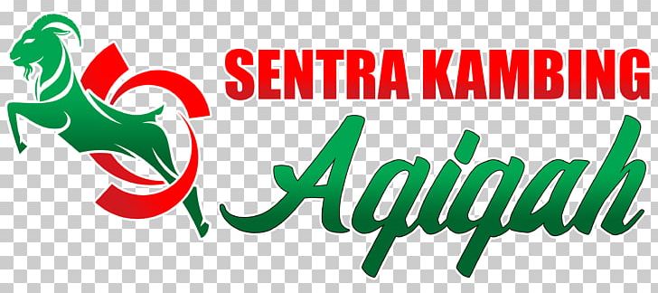 Blog Aqiqah Cakung Ciputat Qurbani PNG, Clipart, Aqiqah, Area, Blog, Brand, Cakung Free PNG Download