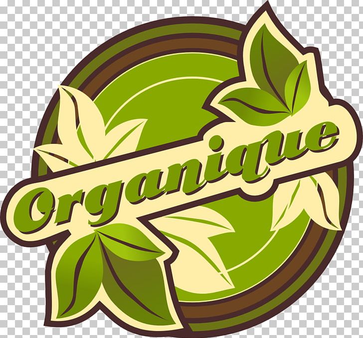 Logo Flowering Plant Green Fruit Font PNG, Clipart, Flower, Flowering Plant, Food, Fruit, Green Free PNG Download
