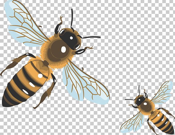 Painted Bee PNG, Clipart, Animal, Animals, Arthropod, Artistic Paint, Bee Free PNG Download