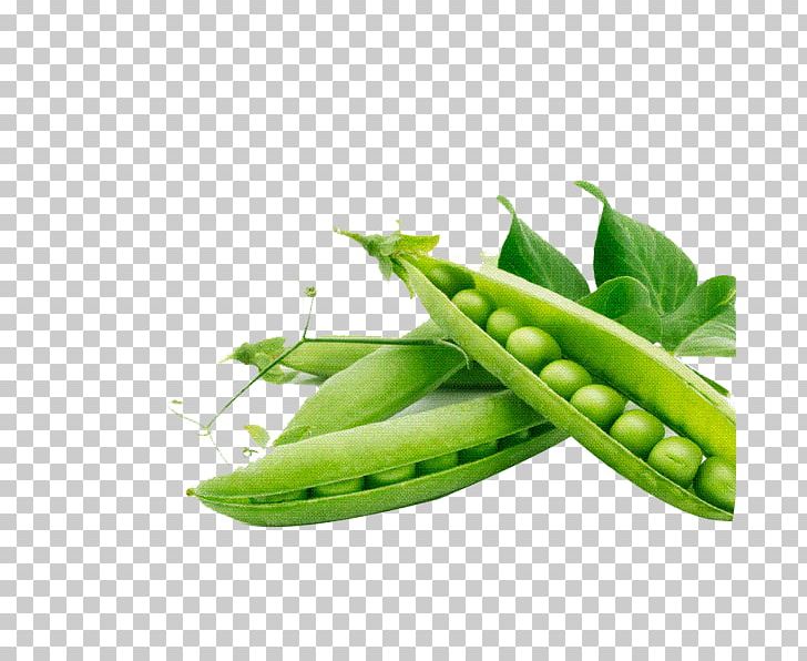 Snap Pea Food Legume PNG, Clipart, Background Green, Bean, Beans, Dietary Fiber, Fresh Free PNG Download