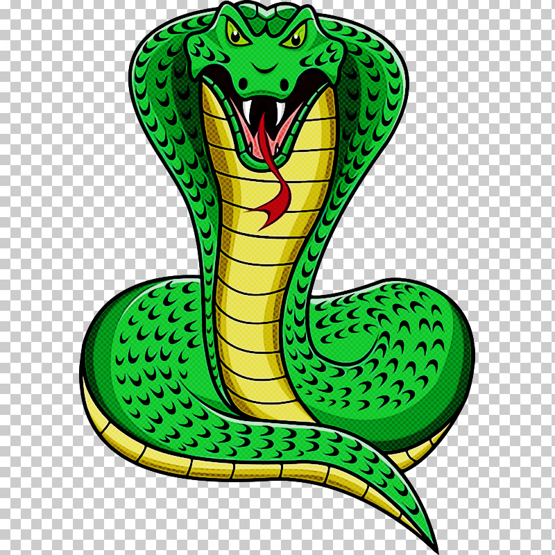 King Cobra Cobra Reptiles Drawing Mambas PNG, Clipart, Cartoon, Cobra, Drawing, Elapid Snakes, King Cobra Free PNG Download