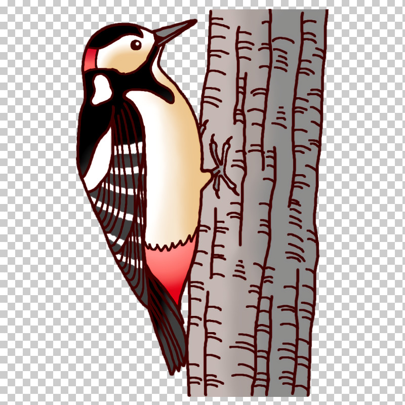 Penguins Beak PNG, Clipart, Beak, Penguins Free PNG Download