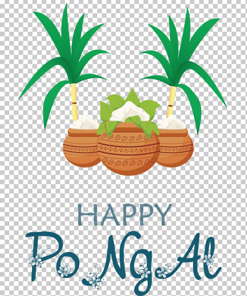 Happy Pongal Pongal PNG, Clipart, Arecales, Flower, Fruit, Happy Pongal, Hay Flowerpot With Saucer Free PNG Download
