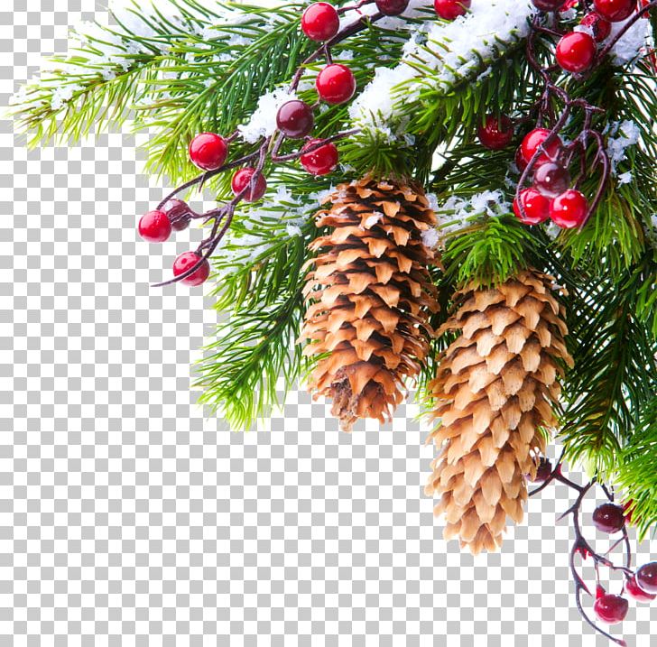 January Kiev 0 New Year Holiday PNG, Clipart, 2015, 2016, 2018, Christmas, Christmas Decoration Free PNG Download
