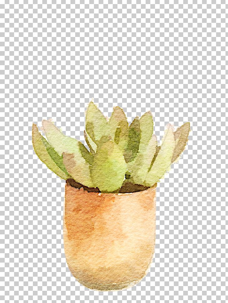 Succulent Plant Leaf YouTube PNG, Clipart, Art, Flowerpot, Gift, Graphic Design, Houseplant Free PNG Download