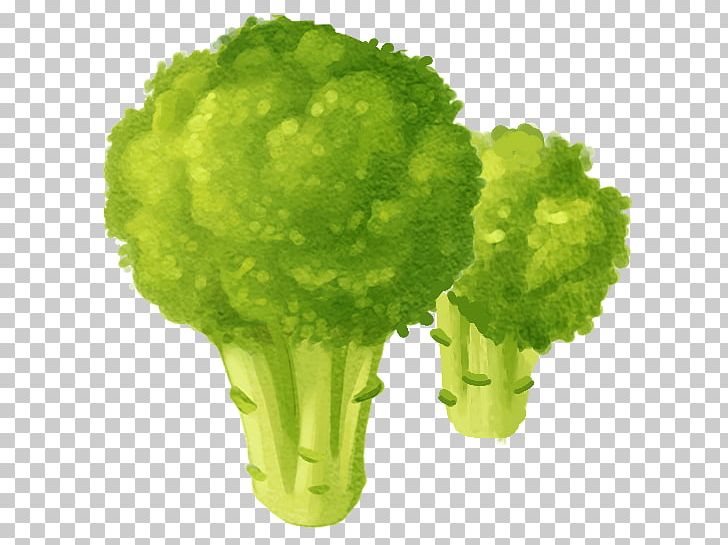 Cauliflower Vegetable PNG, Clipart, Brassica, Cauliflower, Download, Drawing, Euclidean Vector Free PNG Download