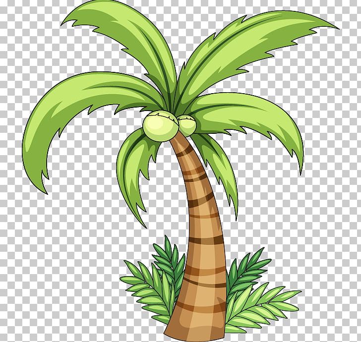 Coconut Arecaceae PNG, Clipart, Arecales, Balloon Cartoon, Blog, Boy Cartoon, Cartoon Character Free PNG Download
