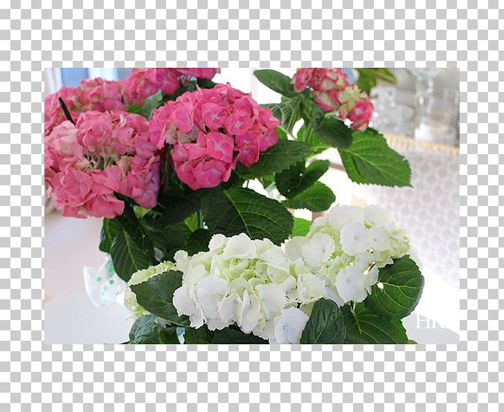 Hydrangea Cut Flowers Floristry Floral Design PNG, Clipart, Annual Plant, Artificial Flower, Cornales, Cut Flowers, Floral Design Free PNG Download