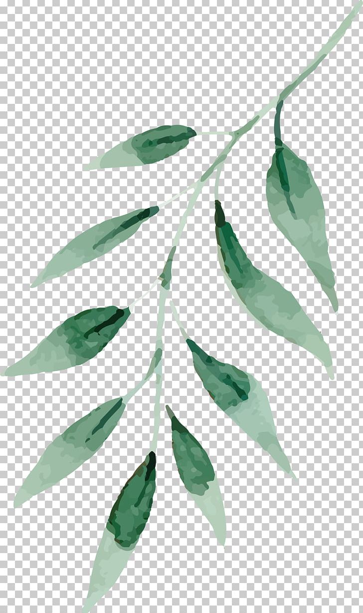Watercolor Painting Drawing Leaf PNG, Clipart, Branch, Cartoon Hand Drawing, Color, Fall Leaves, Food Free PNG Download