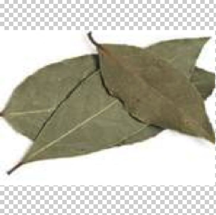 Bay Leaf Food Drying Herb Flavor Bay Laurel PNG, Clipart, Anise, Bay Laurel, Bay Leaf, Cooking, Curry Free PNG Download