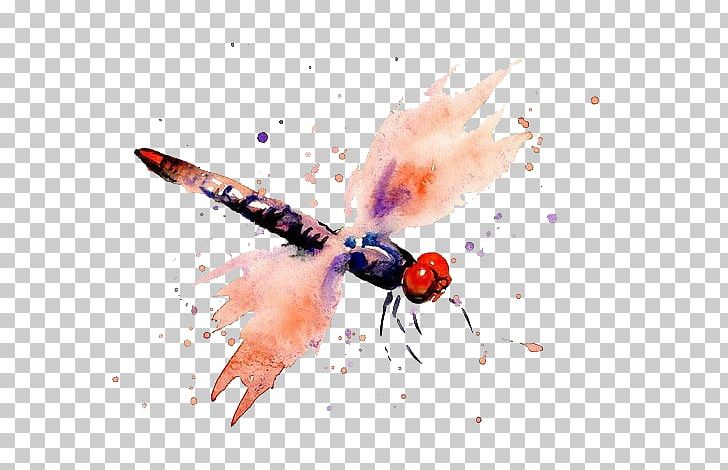 Watercolor Painting Dragonfly PNG, Clipart, Animal, Cartoon, Cartoon Dragonfly, Dragonflies, Dragonfly Free PNG Download