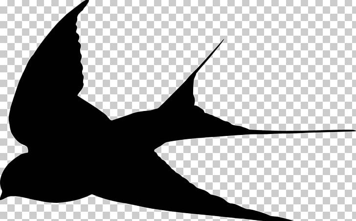 Swallow Illustration Graphics PNG, Clipart, Angle, Art, Barn Swallow, Beak, Bird Free PNG Download