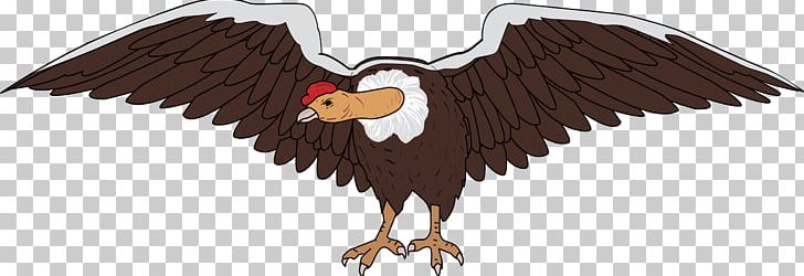 Andean Condor Bird Vulture PNG, Clipart, Accipitriformes, Andean Condor, Animal Figure, Animals, Bald Eagle Free PNG Download