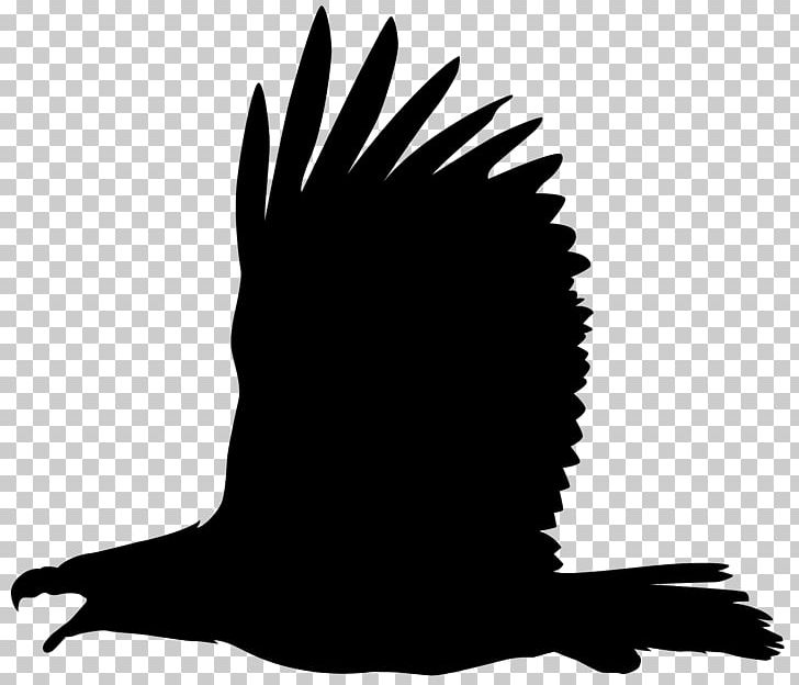 Bald Eagle Silhouette PNG, Clipart, Bald Eagle, Beak, Bird, Bird Of Prey, Black And White Free PNG Download