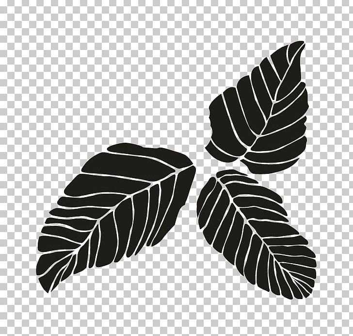 Leaf White PNG, Clipart, Black And White, Leaf, Monochrome, Monochrome Photography, Oakleaf Hydrangea Free PNG Download