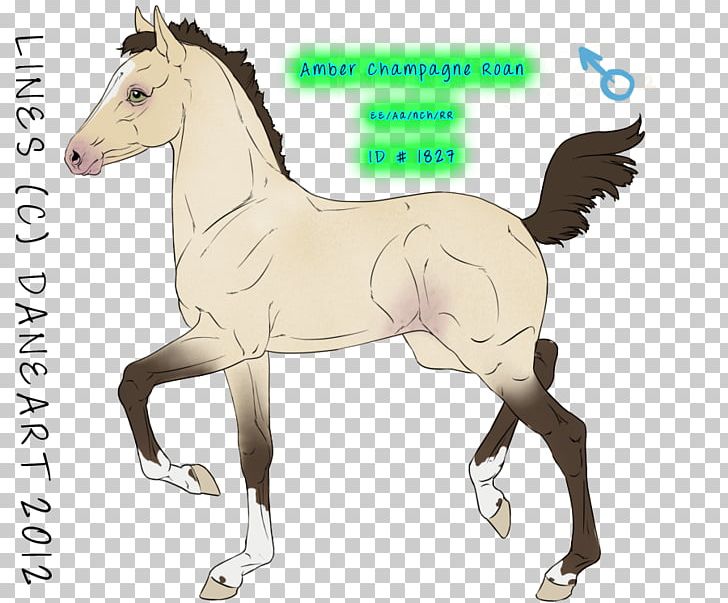 Mustang Foal Mare Stallion Halter PNG, Clipart,  Free PNG Download