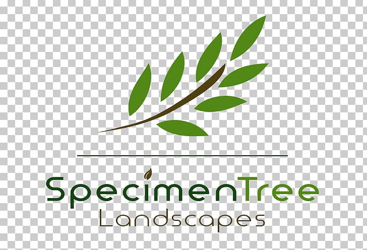 Leaf Logo Brand Font Green PNG, Clipart, Brand, Grass, Green, Herbal, Leaf Free PNG Download