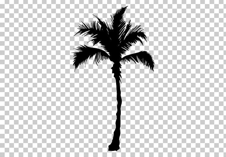 Tree Arecaceae PNG, Clipart, Arecaceae, Arecales, Black And White, Borassus Flabellifer, Branch Free PNG Download