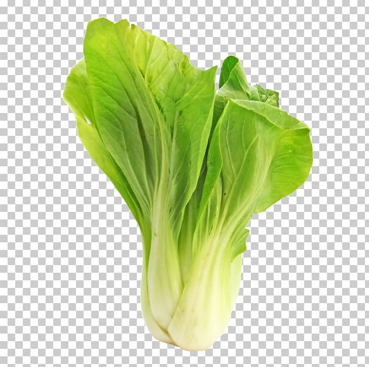 Vegetarian Cuisine Bok Choy Chinese Cabbage Vegetable Brussels Sprout PNG, Clipart, Bok Choy, Broccoli, Broccolini, Cabbage, Cabbages Free PNG Download