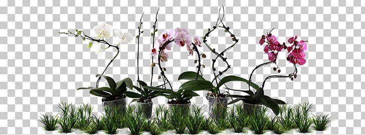 Floral Design Cut Flowers Plant Stem PNG, Clipart, Art, Branch, Cut Flowers, Flora, Floral Design Free PNG Download