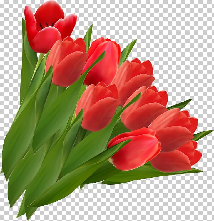 Open Tulip Red Flower PNG, Clipart, Cut Flowers, Desktop Wallpaper, Floral Design, Floristry, Flower Free PNG Download