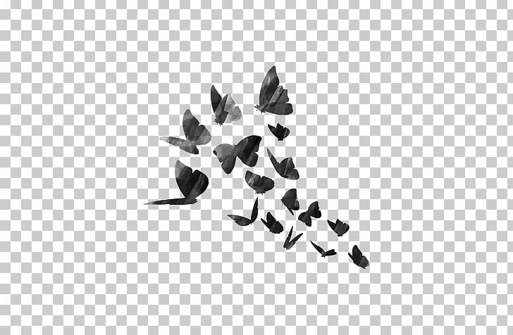 PicsArt Photo Studio Sticker Decal Editing PNG, Clipart, Android, Angle, Bird, Black, Black And White Free PNG Download