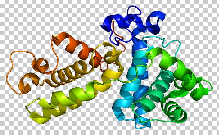 Cyclin K Cyclin-dependent Kinase Holoprotein PNG, Clipart, Amino Acid, Animal Figure, Body Jewelry, Cdkactivating Kinase, Cyclin Free PNG Download