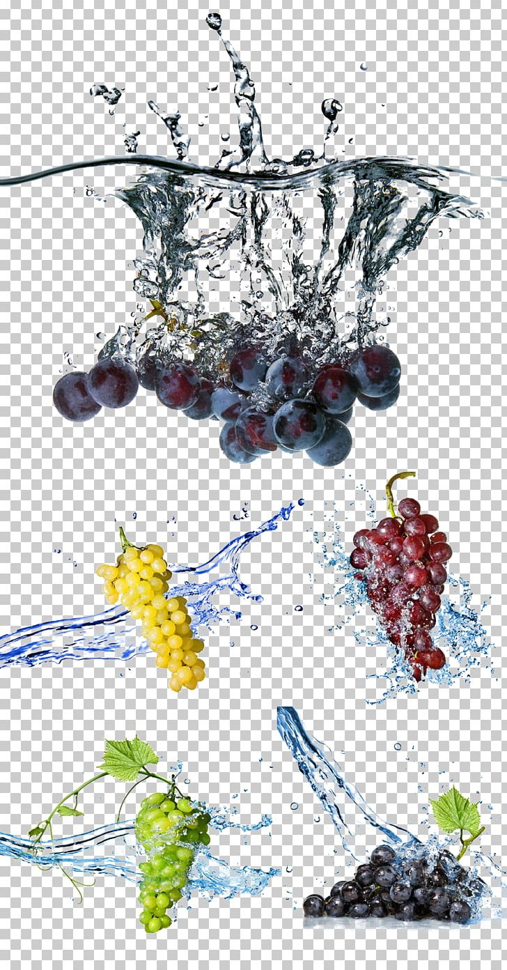 Grapefruit Stock Photography Water PNG, Clipart, Black Grapes, Blue, Branch, Creative, Creative Fruit Free PNG Download