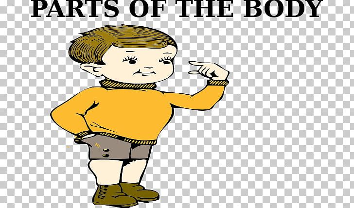 Human Body PNG, Clipart, Anatomy, Area, Art, Artwork, Boy Free PNG Download