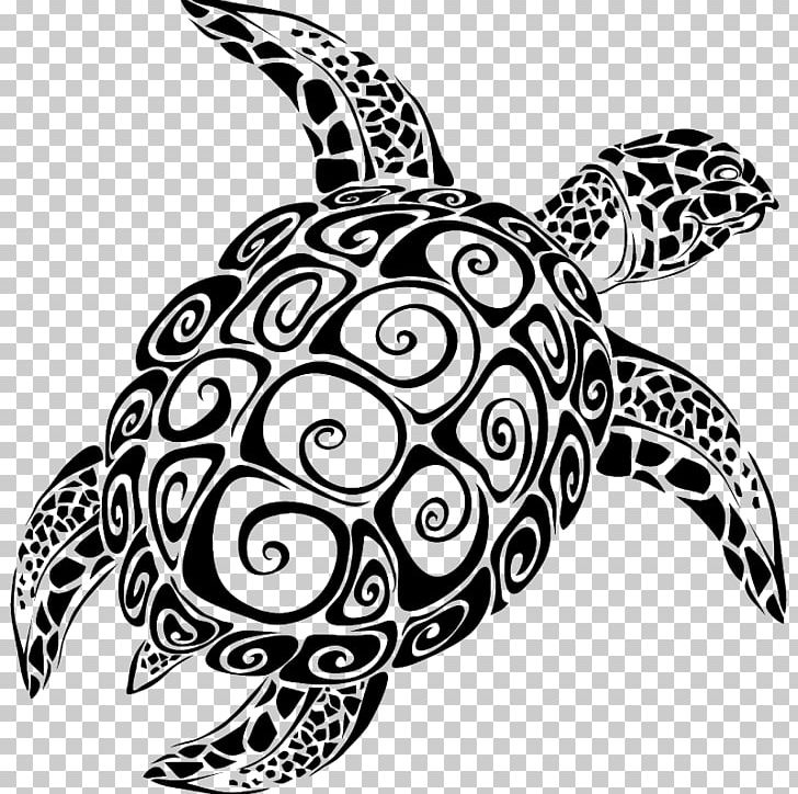 Sea Turtle Graphics The Turtle PNG, Clipart, Ajay, Animals, Art, Artwork, Black And White Free PNG Download