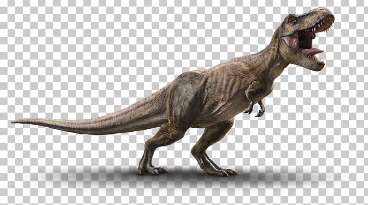 Tyrannosaurus Velociraptor Jurassic Park Triceratops Dinosaur PNG, Clipart,  Free PNG Download