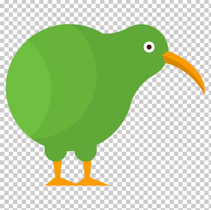 Bird Definition Parrot Species PNG, Clipart, Animals, Beak, Bird, Chicken, Definition Free PNG Download
