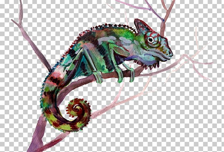 Chameleons Lizard Jacksons Chameleon PNG, Clipart, Animal, Animals, Background Green, Chameleon, Chameleon Vector Free PNG Download