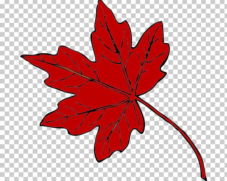 Maple Leaf Green PNG, Clipart, Artwork, Autumn Leaf Color, Computer Icons, Flora, Flower Free PNG Download