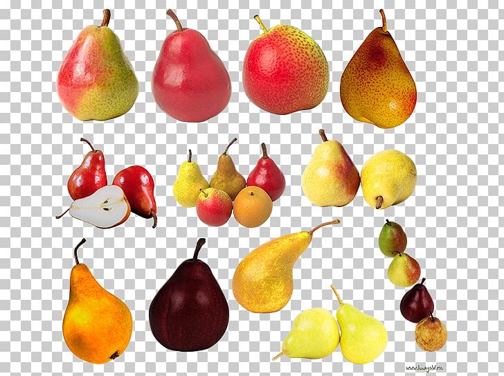 European Pear Fruit Food Amygdaloideae PNG, Clipart, Accessory Fruit, Amygdaloideae, Computer Icons, European Pear, Food Free PNG Download