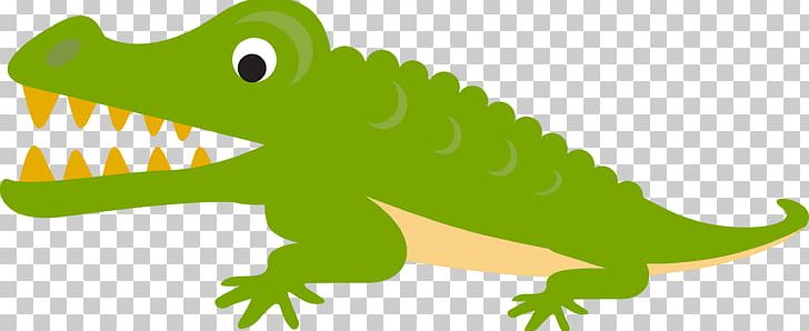 Alligator Crocodile Cartoon Illustration PNG, Clipart, Amphibian, Animals,  Background, Cartoon Character, Cartoon Eyes Free PNG Download