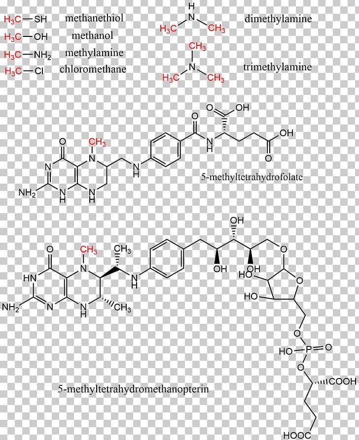 Methyl Group Methyltransferase S-Adenosyl Methionine Levomefolic Acid PNG, Clipart, Angle, Area, Chloromethane, Cofactor, Cytosine Free PNG Download