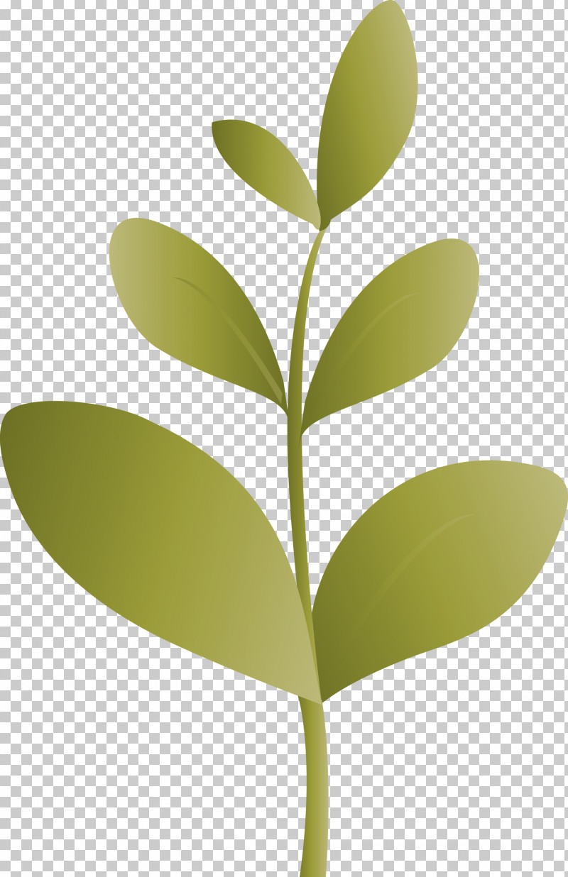 Sprout Bud Seed PNG, Clipart, Bud, Flower, Flush, Hypericum, Leaf Free PNG Download