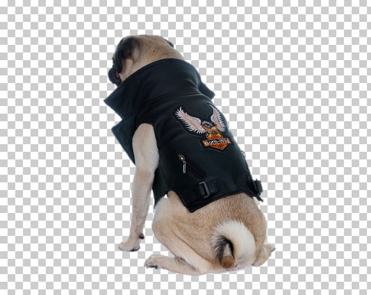 Dog Breed Pug Clothing Waistcoat Costume PNG, Clipart, Carnivoran, Clothing, Clothing Accessories, Costume, Denim Free PNG Download
