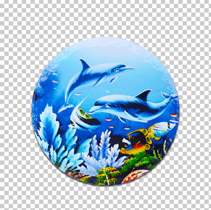 Dolphin Marine Biology CrossFire Fish PNG, Clipart, Biology, Ceramic Tableware, Crossfire, Dolphin, Fish Free PNG Download
