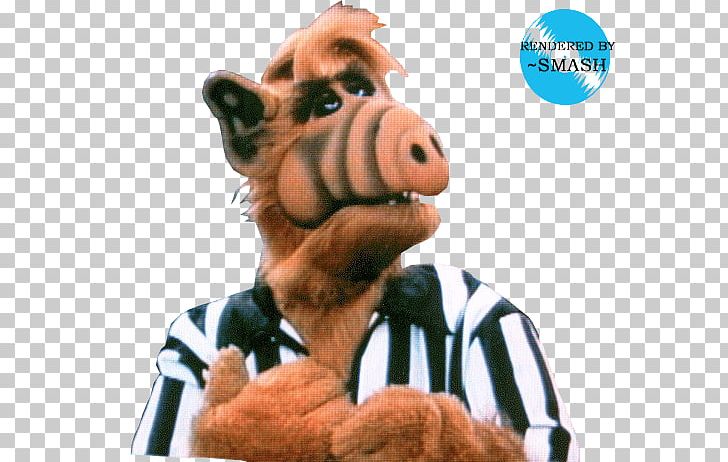 ALF Television Show Extraterrestrial Life PNG, Clipart, Actor, Alf, Extraterrestrial Life, Fernsehserie, Film Free PNG Download