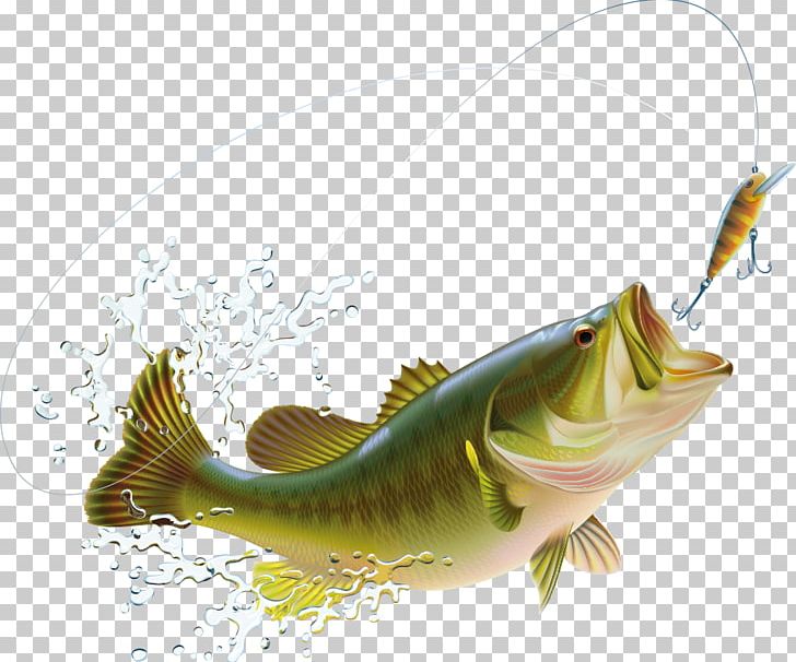Largemouth Bass Bass Fishing Illustration PNG, Clipart, Balloon Cartoon, Bass, Bluegill, Cartoon Character, Cartoon Fish Free PNG Download