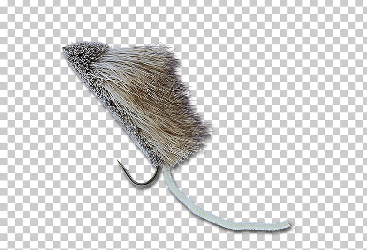 Rat Mouse Fly Fishing The Fly Shop PNG, Clipart, Animals, California, Fishing, Fishing Tackle, Fly Fishing Free PNG Download