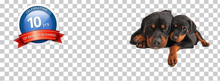 Rottweiler Pet Sitting Puppy Dog Grooming Microchip Implant PNG, Clipart, Bark, Crate Training, Dog, Dog Bath, Dog Daycare Free PNG Download