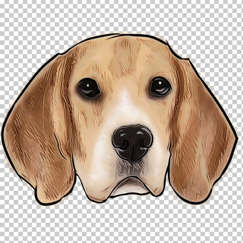 Dog Beagle Snout Harrier American Foxhound PNG, Clipart, American Foxhound, Beagle, Dog, Harrier, Paint Free PNG Download