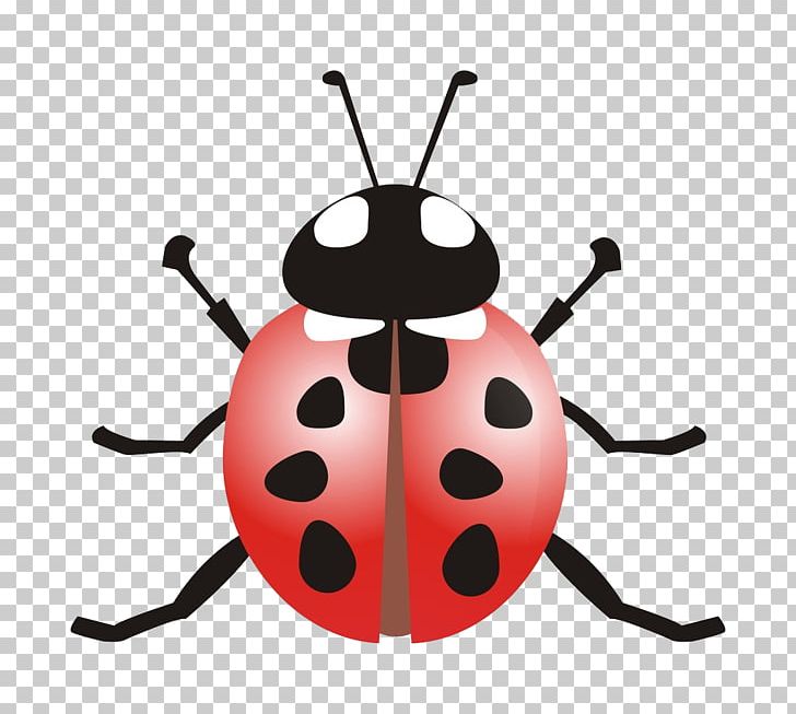 Ladybird Beetle Coccinella Septempunctata PNG, Clipart, Animal, Cartoon, Cartoon Ladybug, Cute Ladybug, Encapsulated Postscript Free PNG Download