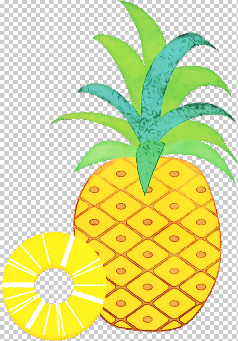 Pineapple PNG, Clipart, Flowerpot, Meter, Mtree, Paint, Pineapple Free PNG Download